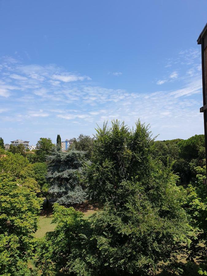 Residenza Maria Luisa Appartamento