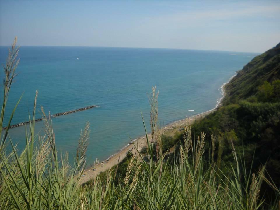 Residenza Maria Luisa * Pesaro